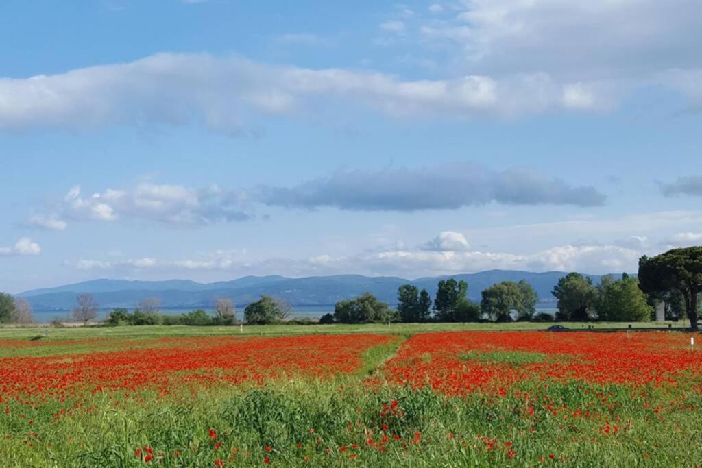 شقة Bellavista La Tua Romantica Vacanza Sul Trasimeno كاستيغليون ديل لاغو المظهر الخارجي الصورة