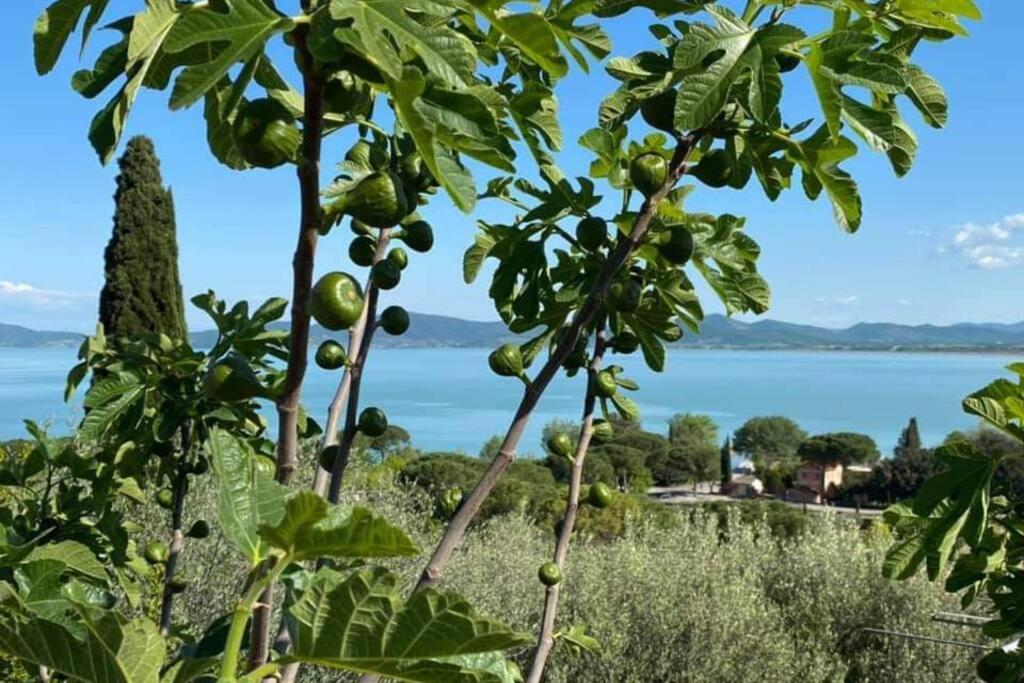 شقة Bellavista La Tua Romantica Vacanza Sul Trasimeno كاستيغليون ديل لاغو المظهر الخارجي الصورة