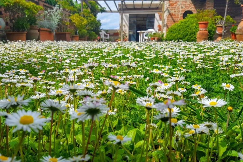 Bellavista La Tua Romantica Vacanza Sul Trasimeno كاستيغليون ديل لاغو المظهر الخارجي الصورة
