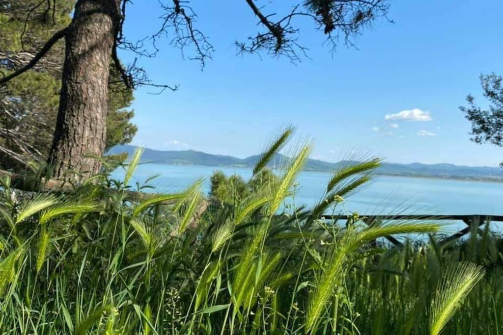 شقة Bellavista La Tua Romantica Vacanza Sul Trasimeno كاستيغليون ديل لاغو المظهر الخارجي الصورة