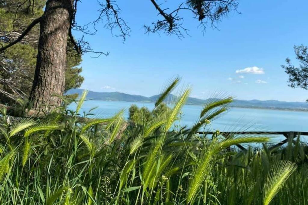 Bellavista La Tua Romantica Vacanza Sul Trasimeno كاستيغليون ديل لاغو المظهر الخارجي الصورة