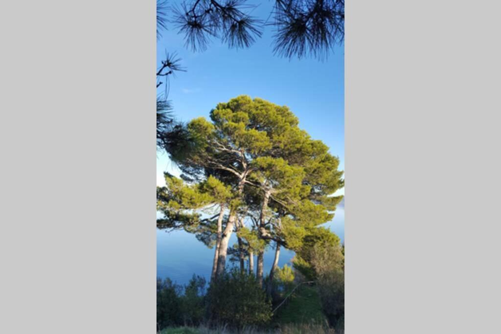 Bellavista La Tua Romantica Vacanza Sul Trasimeno كاستيغليون ديل لاغو المظهر الخارجي الصورة