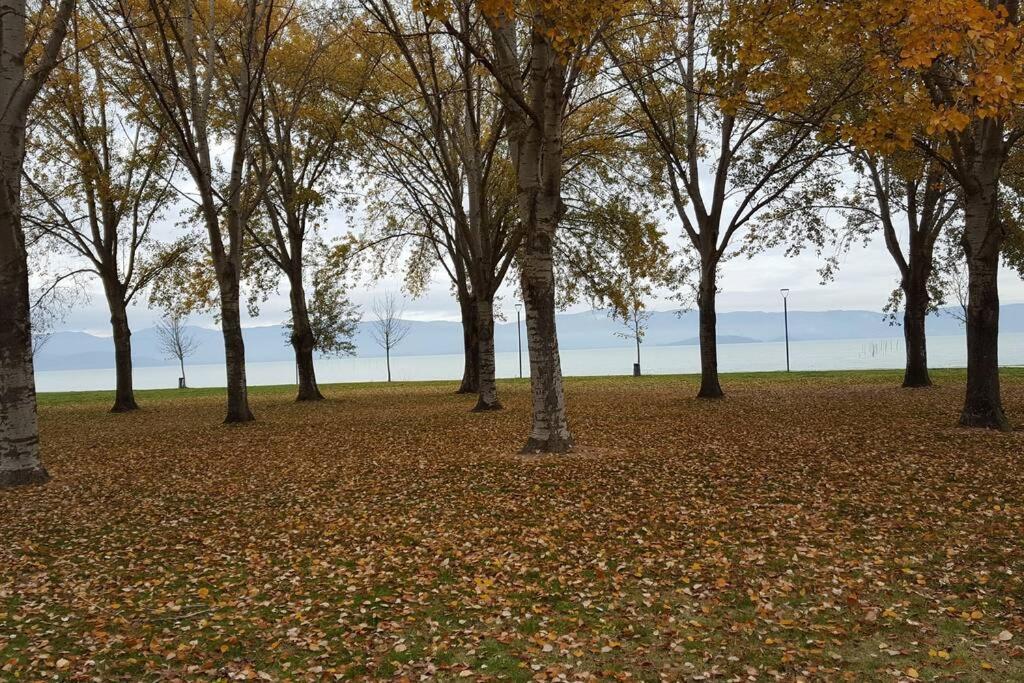 شقة Bellavista La Tua Romantica Vacanza Sul Trasimeno كاستيغليون ديل لاغو المظهر الخارجي الصورة