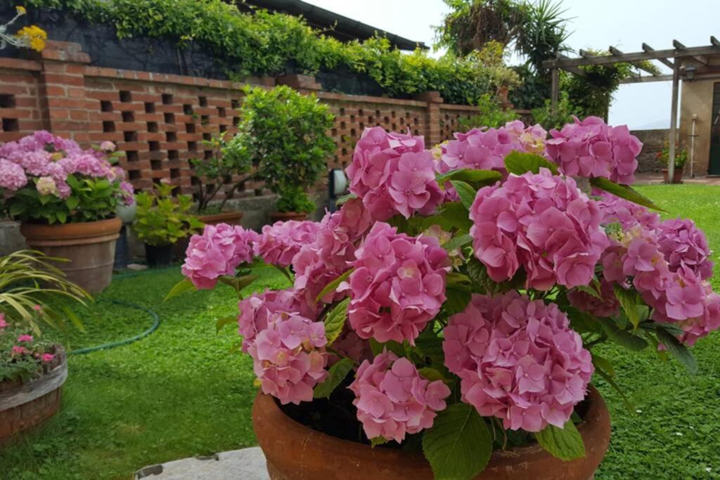 Bellavista La Tua Romantica Vacanza Sul Trasimeno كاستيغليون ديل لاغو المظهر الخارجي الصورة
