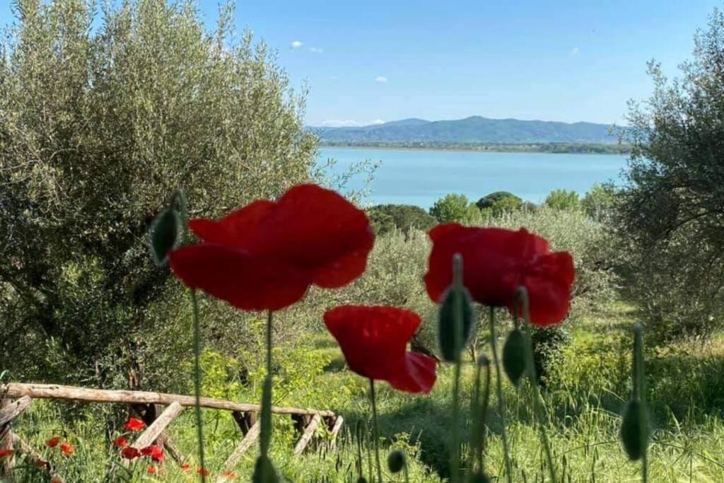 Bellavista La Tua Romantica Vacanza Sul Trasimeno كاستيغليون ديل لاغو المظهر الخارجي الصورة