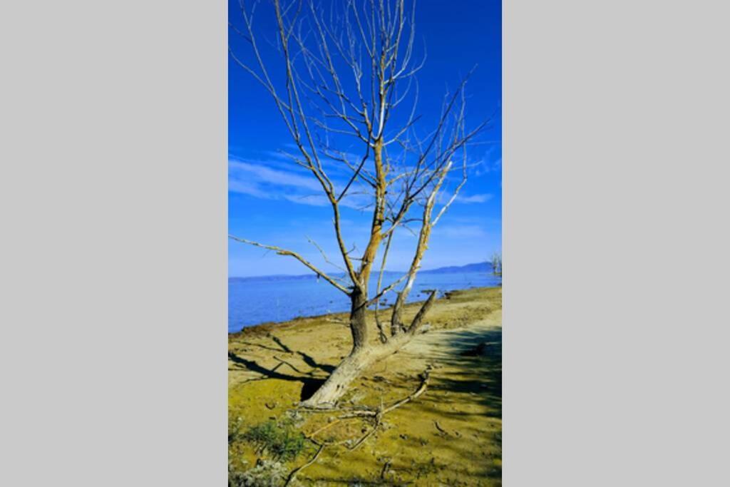 Bellavista La Tua Romantica Vacanza Sul Trasimeno كاستيغليون ديل لاغو المظهر الخارجي الصورة