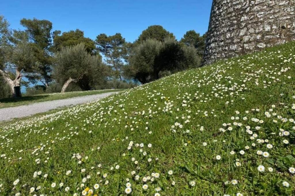 شقة Bellavista La Tua Romantica Vacanza Sul Trasimeno كاستيغليون ديل لاغو المظهر الخارجي الصورة