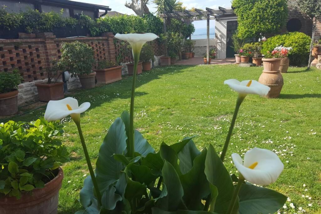Bellavista La Tua Romantica Vacanza Sul Trasimeno كاستيغليون ديل لاغو المظهر الخارجي الصورة