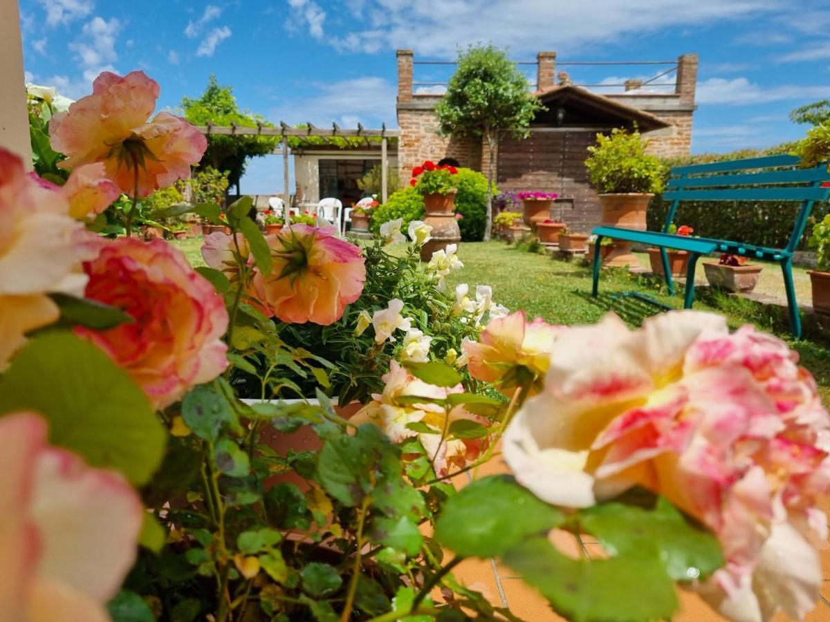 Bellavista La Tua Romantica Vacanza Sul Trasimeno كاستيغليون ديل لاغو المظهر الخارجي الصورة